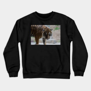 Got My Eyes On You Crewneck Sweatshirt